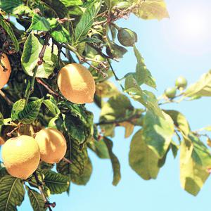 国产美女裸露视频
